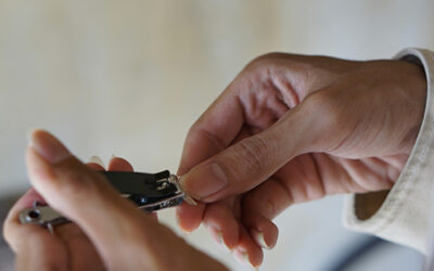 Small Tools, Big Importance: Why Quality Nail Clippers are a Nursery Essential